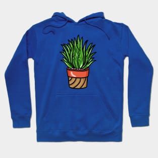 Succulent Illustration 3 T-Shirt Hoodie